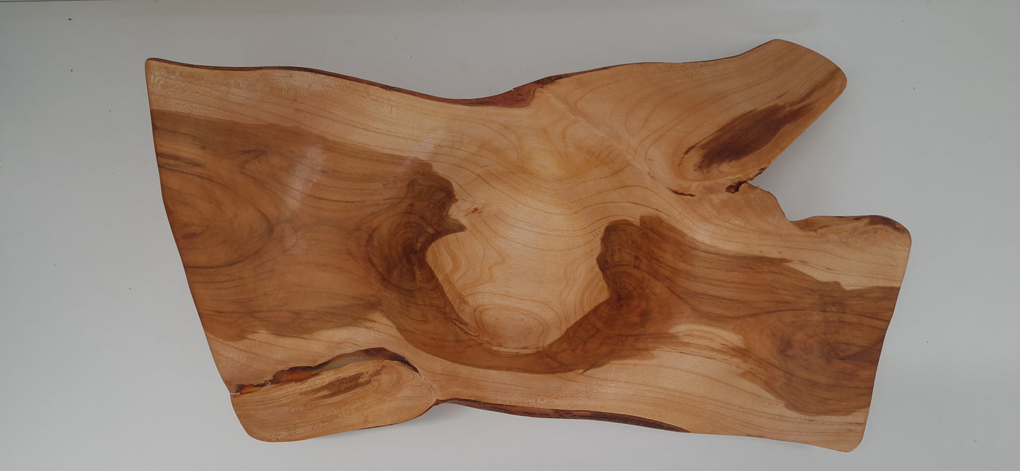 Deko Schale Marillenholz - 50cm
