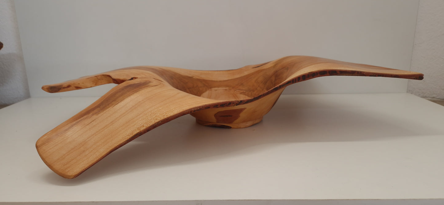 Deko Schale Marillenholz - 50cm