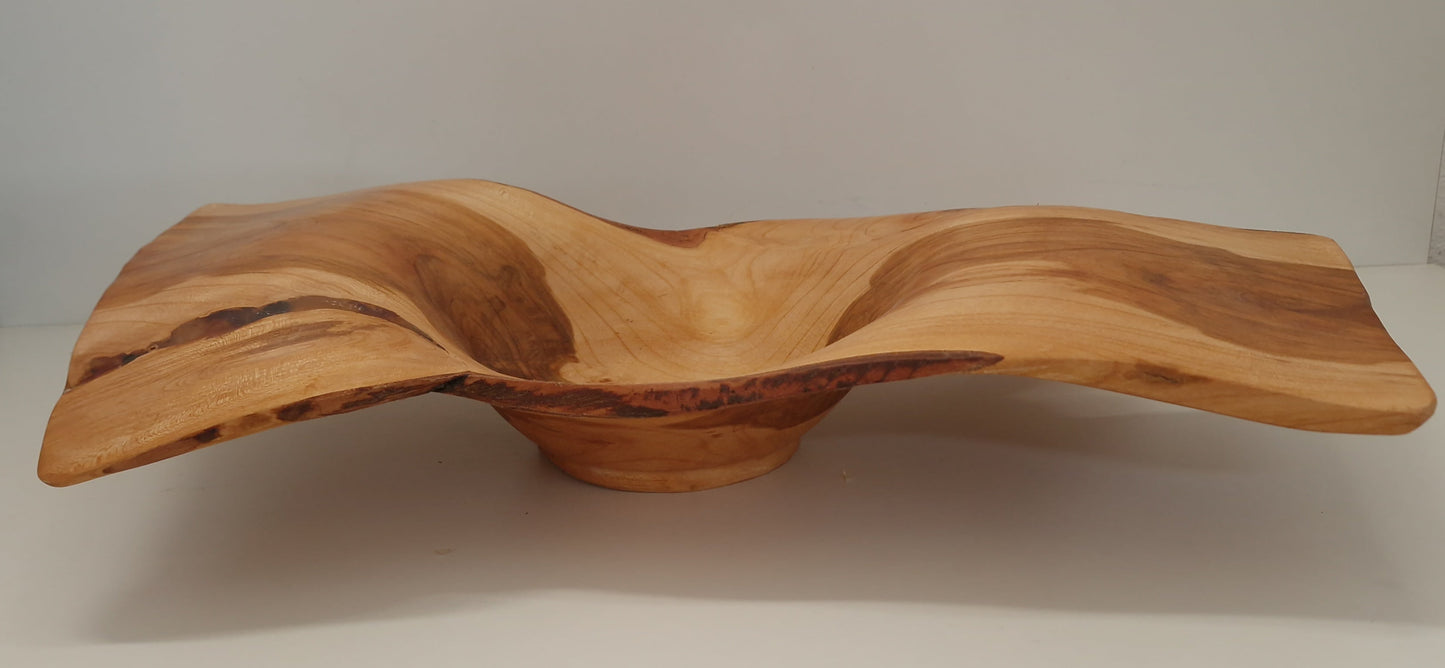 Deko Schale Marillenholz - 50cm
