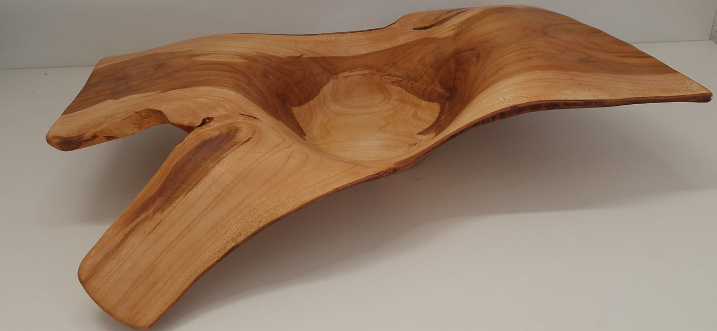 Deko Schale Marillenholz - 50cm